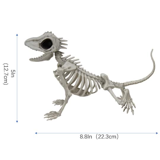 9" Lizard Skeleton by Ashland®